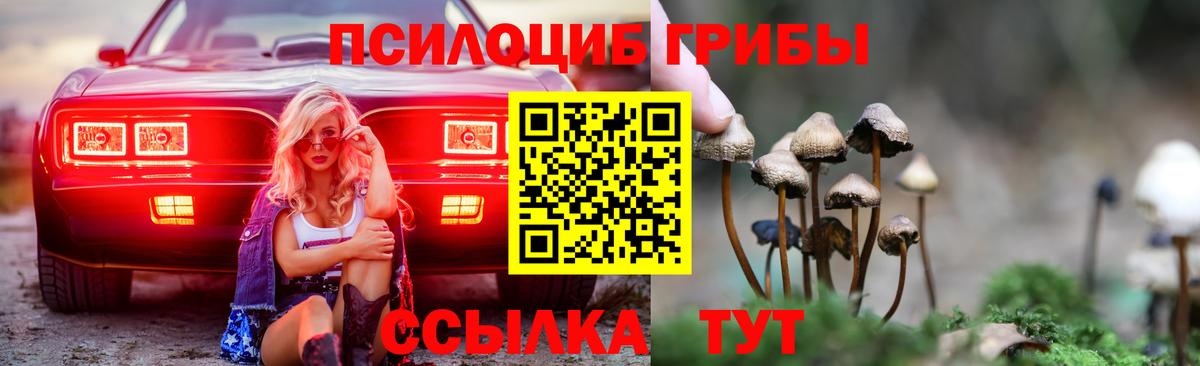 Галлюциногенные грибы Psilocybine cubensis  Вход с VPN  Красный Сулин 