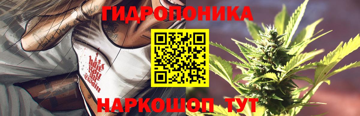 Конопля планчик Красный Сулин